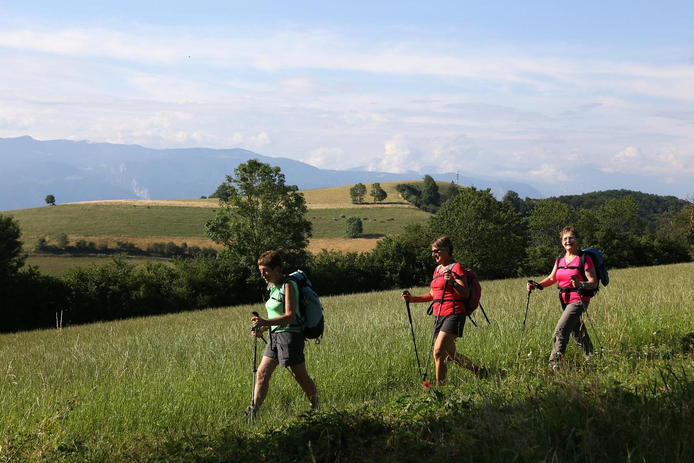 Hiking Ideas 