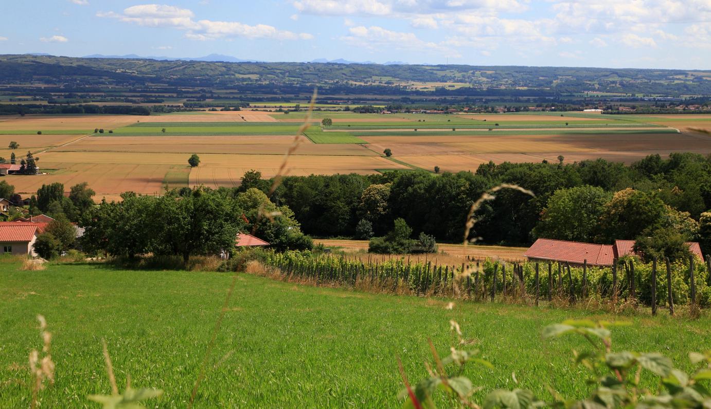 Variétés des paysages