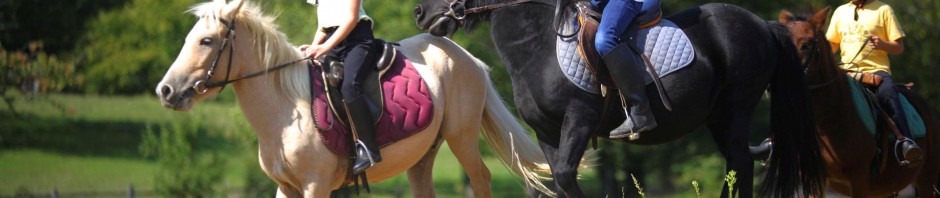 bouger-cheval