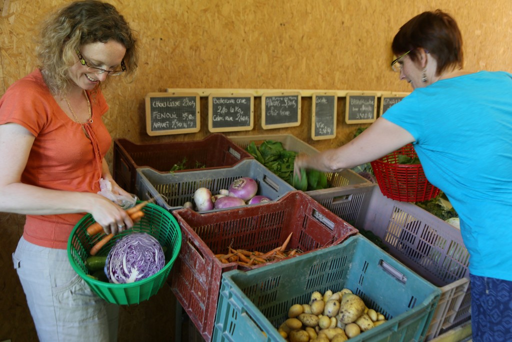 Magasins de producteurs