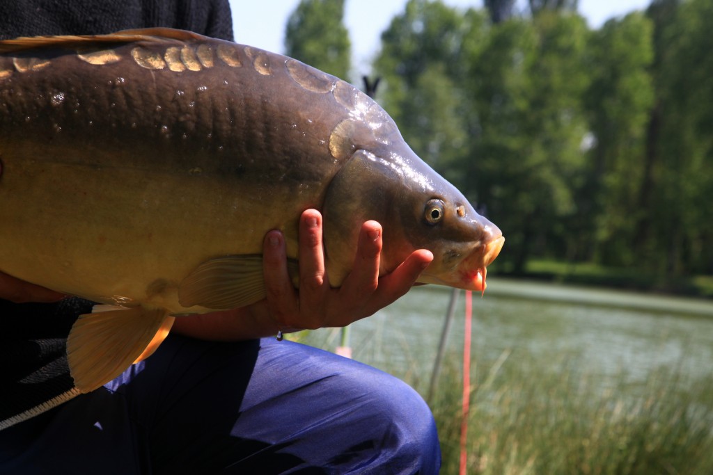 Sites de pêche