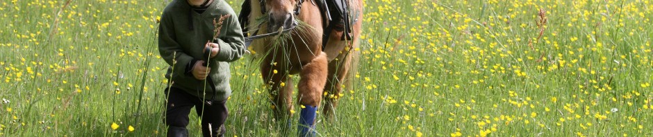 équestre-cheval-bievre-isere