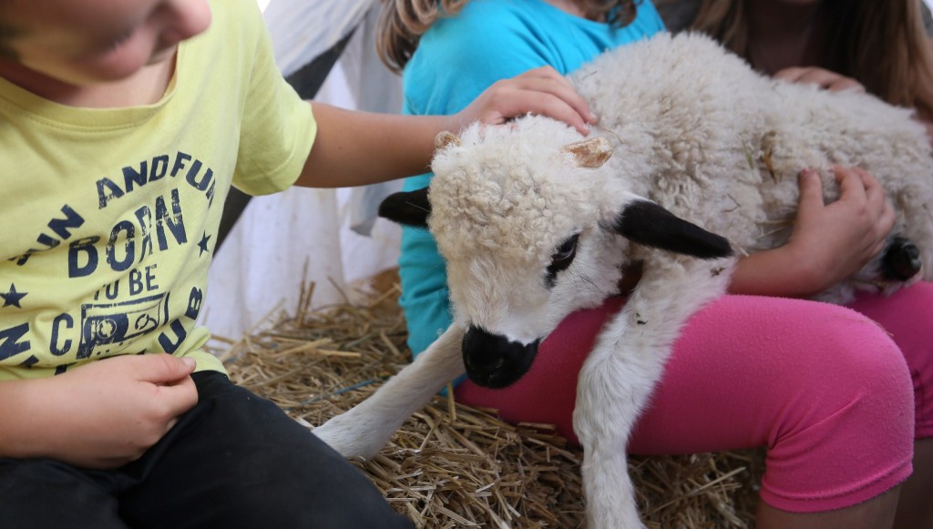 Fermes pédagogiques