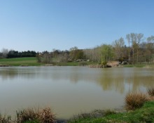 Etang de Terre Neuve