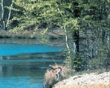 Etangs de pêche du Parc Naturel de Chambaran
