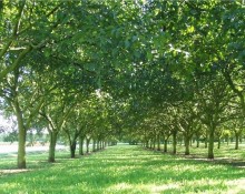 Ferme Les 13 Fontaines