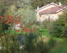 Le Jardin ombragé