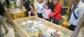 A few ideas for days out